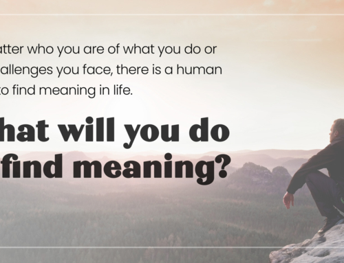 What will you do to find meaning?