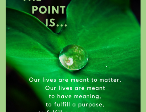 What Is the Point?