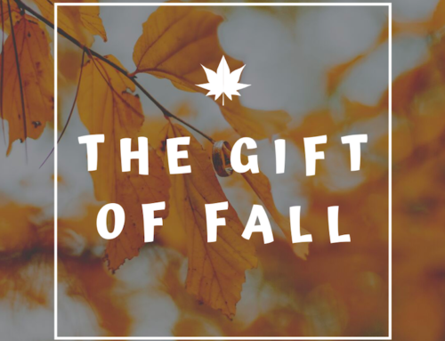 The Gift of Fall